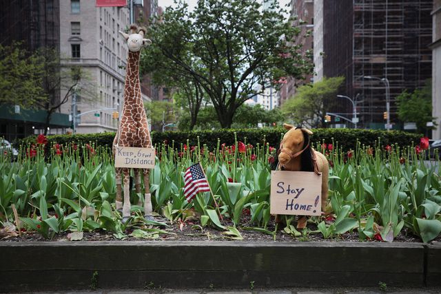 Stuffed animals sit on the Park Avenue median, with messages "Stay at home" and "Keep Your Distance"